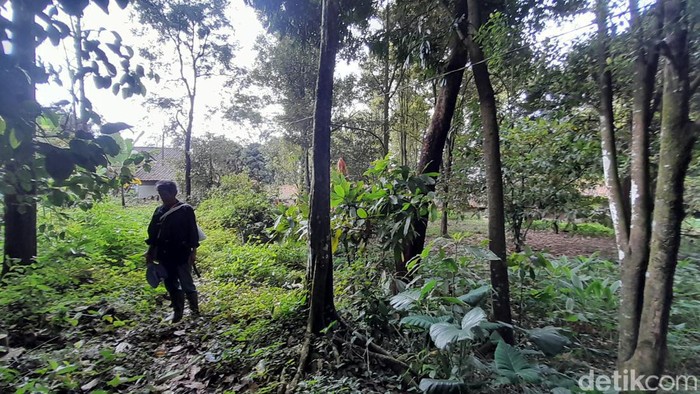Suasana di Dusun Puncak Manik Sumedang.