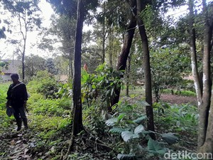 Dusun Puncak Manik yang Tersembunyi, Ternyata Dulu Digemari Turis Asing