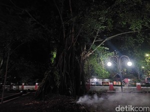 Mitos Pohon Beringin di Cimahi yang Konon Tak Bisa Ditebang