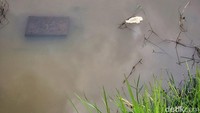 Sejumlah makam hanya terlihat batu nisannya.