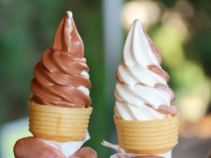 Es Krim yang Manis Lembut Bisa Tak Halal Karena Pemakaian Bahan Ini