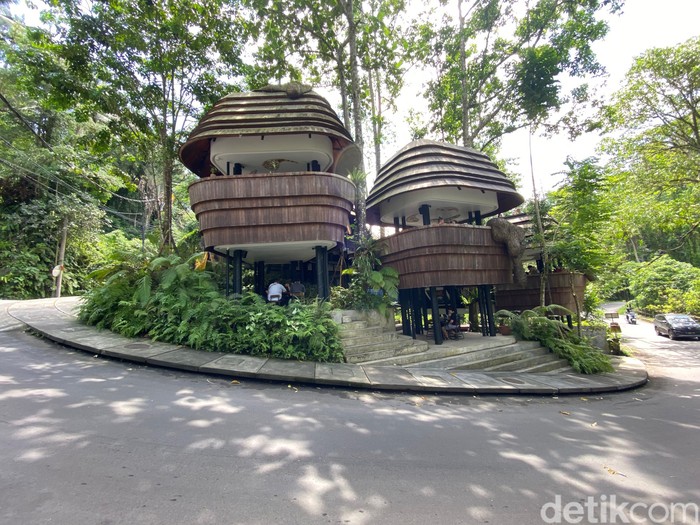 Kafe While You Are Here Ubud Bali Kafe While You Are Here Ubud Bali