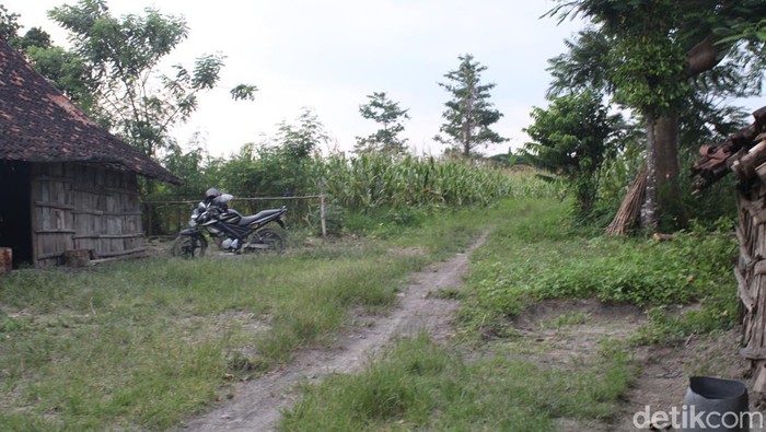 Kisah 2 keluarga hidup tanpa listrik di Hutan Blora, Kamis (6/1/2023).