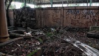 Tampak pohon dan rumput tinggi di halaman rumah Ibu Eny telah ditebang. Perlu diketahui saat ini Ibu Eny saat ini sudah dibawa Suku Dinas Sosial Jakarta Timur ke RSKD Duren Sawit untuk menjalani perawatan.