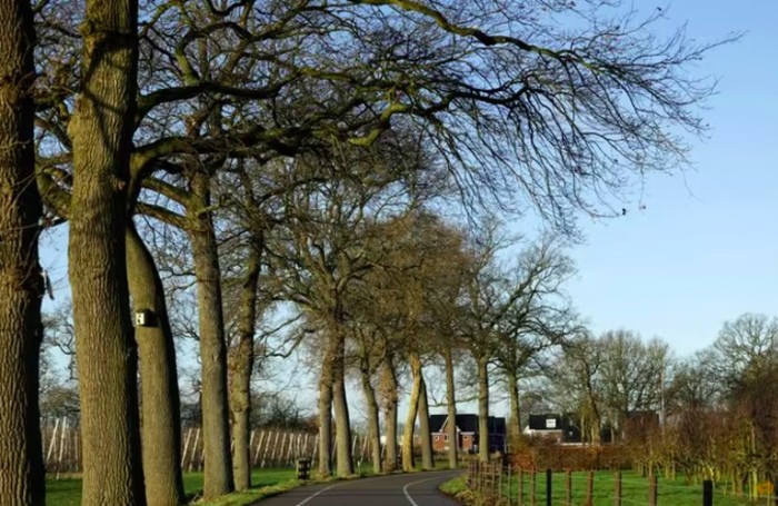 Kota Ommeren di Belanda