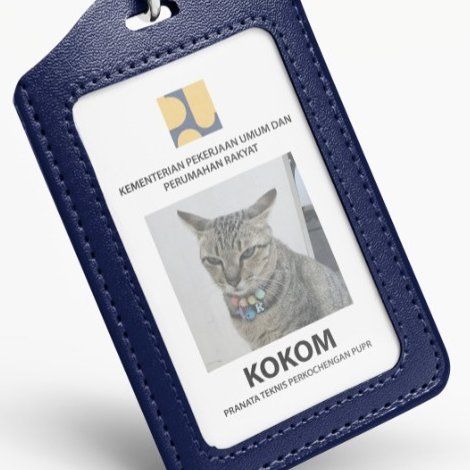 Kucing