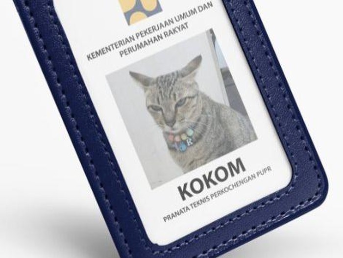 Kucing