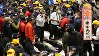 Diketahui, tuna tersebut dibeli oleh sebuah restoran sushi berlabel Michelin Onodera dan grosir Jepang Yamanuki. Kyodo/Handout via REUTERS