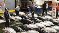 Bagaimana menurut Anda? Kyodo News via AP