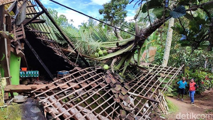 Pohon kelapa tumbang timpa rumah warga di Banyuwangi