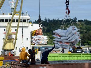 Zulhas Minta Impor Beras Terakhir Januari, Bulog: Februari 500 Ribu Ton Selesai