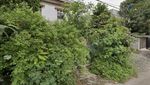 Before-After Rumah Mewah Ibu Eny: Dulu Seperti Hutan