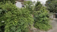 Area rumah mewah ibu Eny dipenuhi tanaman liar. Seperti hutan kecil. Foto: Dok. Tangkapan Layar Google Street
