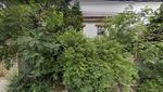 Before-After Rumah Mewah Ibu Eny: Dulu Seperti Hutan