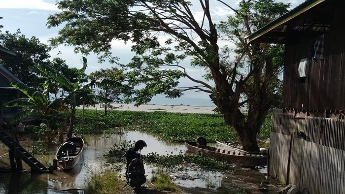 Rumah warga di Wajo terdampak banjir dipenuhi eceng gondok. Rumah warga di Wajo terdampak banjir dipenuhi eceng gondok.