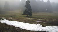 Pemanasan global atau global warming merupakan kondisi dimana suhu rata-rata atmosfer dan permukaan bumi meningkat.   