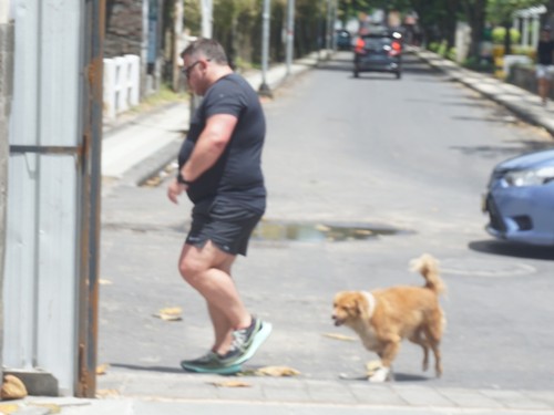 Seorang turis asing tampak dibuntuti anjing liar di Jalan Pantai Legian, Kecamatan Kuta, Badung, Bali, Jumat (6/1/2023).