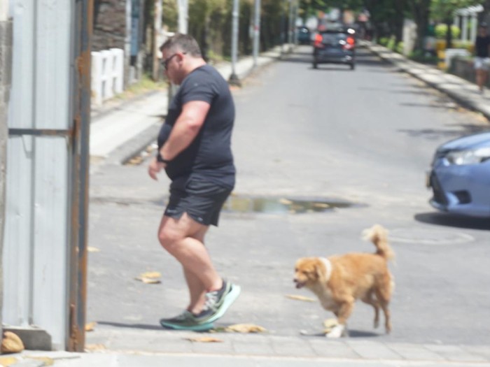 Seorang turis asing tampak dibuntuti anjing liar di Jalan Pantai Legian, Kecamatan Kuta, Badung, Bali, Jumat (6/1/2023).
