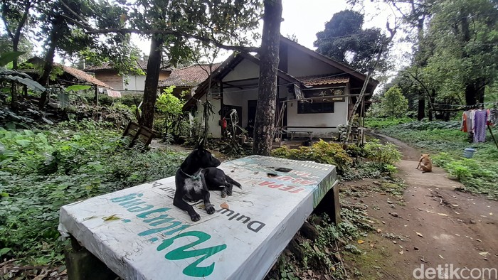 Suasana di Dusun Puncak Manik Sumedang.