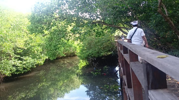 Kondisi Taman Hutan Raya (Tahura) Ngurah Rai, Jumat (6/1/2023).