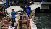 Peninggian tanggul dilakukan oleh 21 petugas Sudin Sumber Daya Air Kecamatan Penjaringan sejak kemarin.