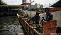 Petugas membuat kerangka tambahan di atas tanggul yang lama. Kerangka tambahan itu untuk memperkuat tanggul.