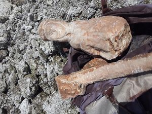 Heboh Warga Kupang Temukan Patung Bunda Maria di Lokasi Galian C