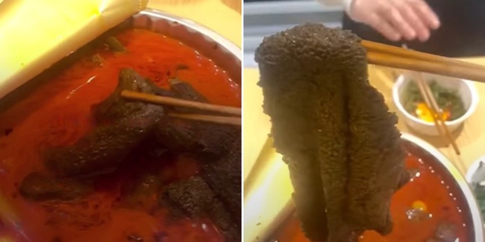 Kain Kotor Mirip Babat di Kuah Hotpot