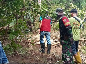 2 Jenazah Diduga Korban Longsor Maros Ditemukan di Mallawa dan Bone