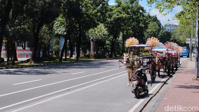 Pemerintah Kota (Pemkot) Jakarta Pusat akan melarang delman beroperasi di kawasan wisata Monumen Nasional (Monas). (Brigitta Belia/detikcom) Pemerintah Kota (Pemkot) Jakarta Pusat akan melarang delman beroperasi di kawasan wisata Monumen Nasional (Monas). (Brigitta Belia/detikcom)