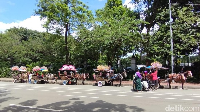 Pemerintah Kota (Pemkot) Jakarta Pusat akan melarang delman beroperasi di kawasan wisata Monumen Nasional (Monas). (Brigitta Belia/detikcom) Pemerintah Kota (Pemkot) Jakarta Pusat akan melarang delman beroperasi di kawasan wisata Monumen Nasional (Monas). (Brigitta Belia/detikcom)