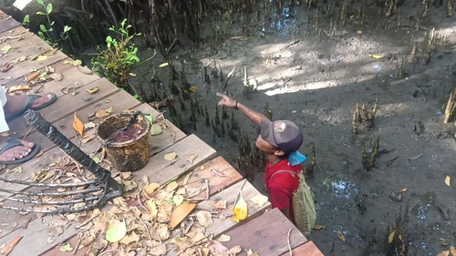 Pencari cacing kolian di Tahura Ngurah Rai, Denpasar, Bali, Sabtu (7/1/2023).