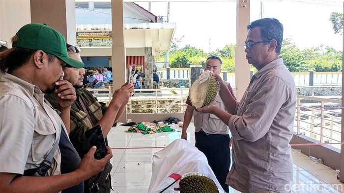 Peserta protes dalam Festival Durian di Sukabumi.