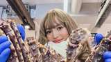Rachel Goddard Liburan ke Jepang, Makan King Crab Rp 7 Juta!