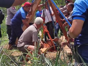 Sapi Bunting Nyemplung Sumur 10 Meter, Butuh 4 Jam untuk Evakuasi