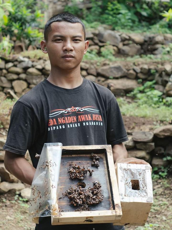 Siswa SMA di Tejakula, Gede Redi Putra Yasa menunjukkan hasil budidaya madu kele-kele.