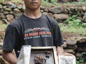 Tembus Pasar Luar Negeri, Pelajar Buleleng Raup Cuan Berkat Madu Kele