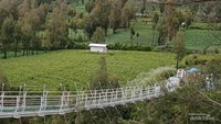 Jembatan kaca Bromo.