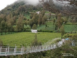 Bromo sedang Genit-genitnya, Bromo pun Bersolek