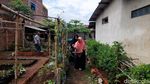 Potret Kampung Cengek Cimahi di Tengah Keterbatasan Lahan