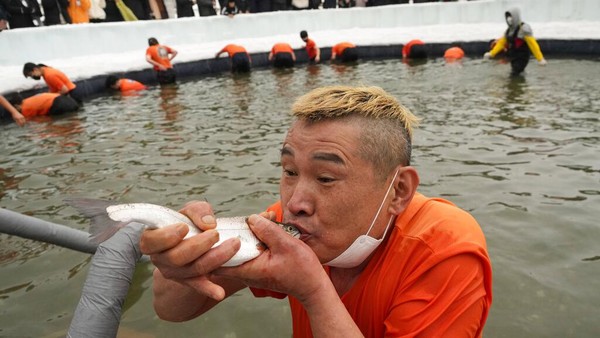 Seorang peserta mencium ikan trout setelah menangkapnya dengan tangan kosong saat mengikuti kontes menangkap ikan trout 