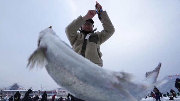 Seorang pria menangkap ikan trout di sungai yang membeku selama kontes menangkap ikan trout di Hwacheon. 