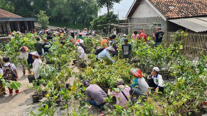 Petani di Bandung mendapatkan bibit tanaman gratis.