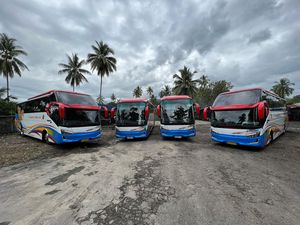 PO Transport Express Jaya Rilis 8 Bus Baru, Ini Rute yang Bakal Dilayani