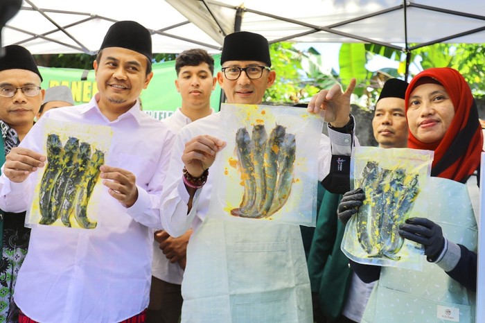 Sandiaga Panen Lele