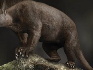 Bagaimana Nenek Moyang Kita Bertahan dari Kiamat Asteroid?