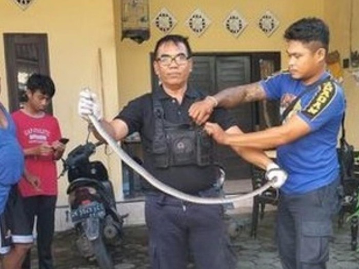 Suasana saat petugas BPBD Denpasar mengamankan ular yang masuk lingkungan warga.