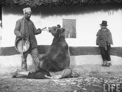 Ada Fakta Mencengangkan di Balik Foto Jadul Ini