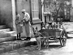 Ada Fakta Mencengangkan di Balik Foto Jadul Ini