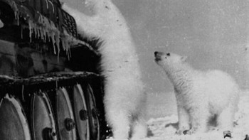  Para prajurit memberi makan beruang kutub dengan kaleng susu kental. Uni Soviet, 1950. Foto diambil saat ekspedisi militer rutin di Semenanjung Chukchi, Uni Soviet. Tidak pasti apakah Semenanjung Chukchi memiliki lebih banyak orang atau beruang putih. Iklimnya sangat parah dan terkadang cuaca bisa sangat ganas di musim dingin sehingga suhunya turun 60 derajat Celcius di bawah nol (-60 derajat Celcius). Foto: Instagram/The History Atlas 